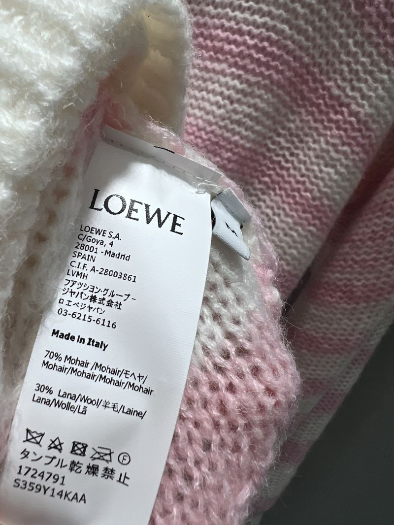 Loewe Sweaters